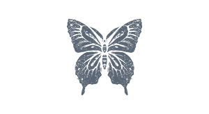 aan-monarch